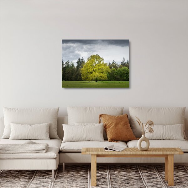 Skleněný obraz zeleného stromu uprostřed pole (70x50 cm)