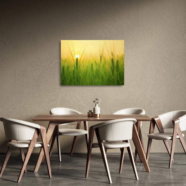 Skleněný obraz pole s obilím (70x50 cm)