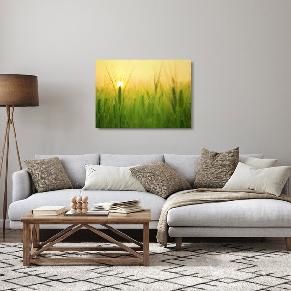 Skleněný obraz pole s obilím (70x50 cm)