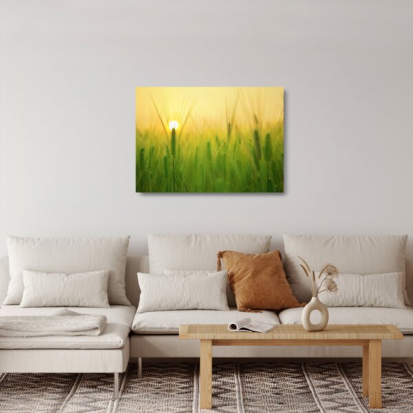 Skleněný obraz pole s obilím (70x50 cm)