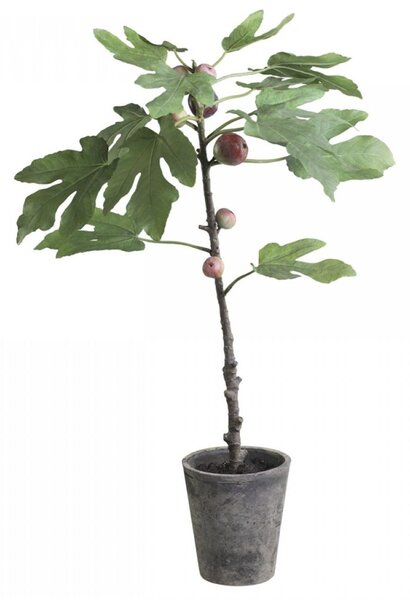 Dekorace umělý Fíkovník v keramickém květináči Old - 76cm - Chic Antique