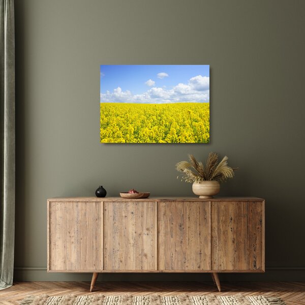 Skleněný obraz žlutého pole (70x50 cm)