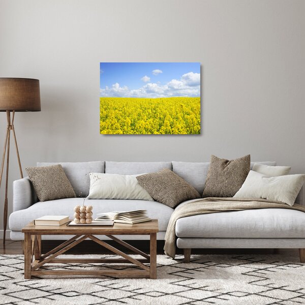 Skleněný obraz žlutého pole (70x50 cm)