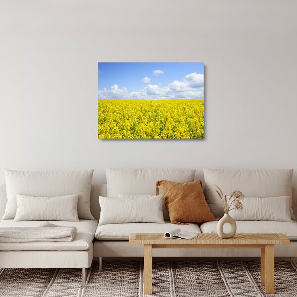 Skleněný obraz žlutého pole (70x50 cm)