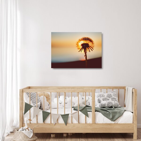 Skleněný obraz Pampelišky v západu slunce (70x50 cm)