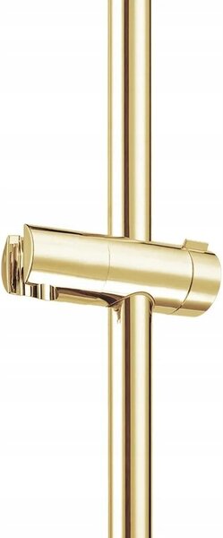 Sprchová tyč s držákem na sprchovou hlavici zlatá Rea 70 cm