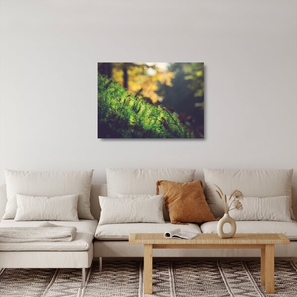 Skleněný obraz mechu s houbou (70x50 cm)