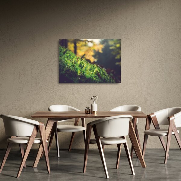Skleněný obraz mechu s houbou (70x50 cm)