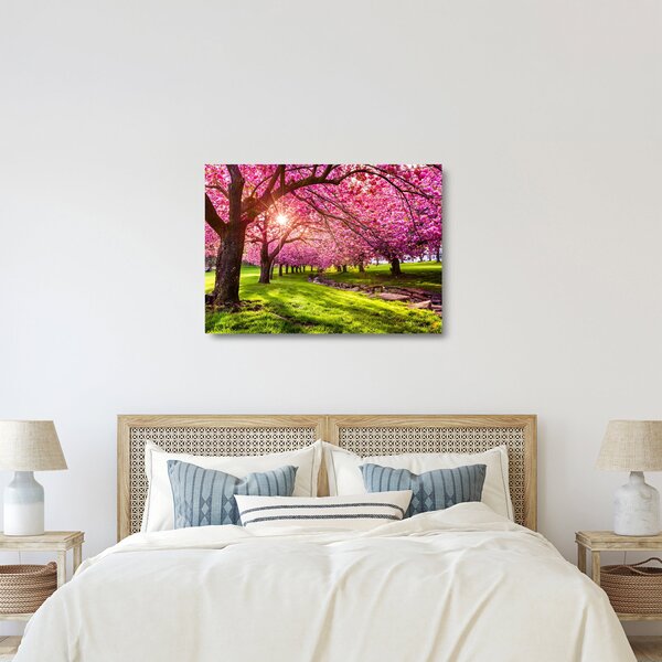 Skleněný obraz rozkvetlých třešní, Hurd Park, Dover, New Jersey (70x50 cm)
