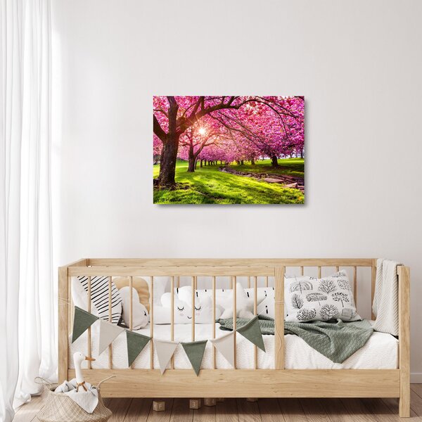 Skleněný obraz rozkvetlých třešní, Hurd Park, Dover, New Jersey (70x50 cm)