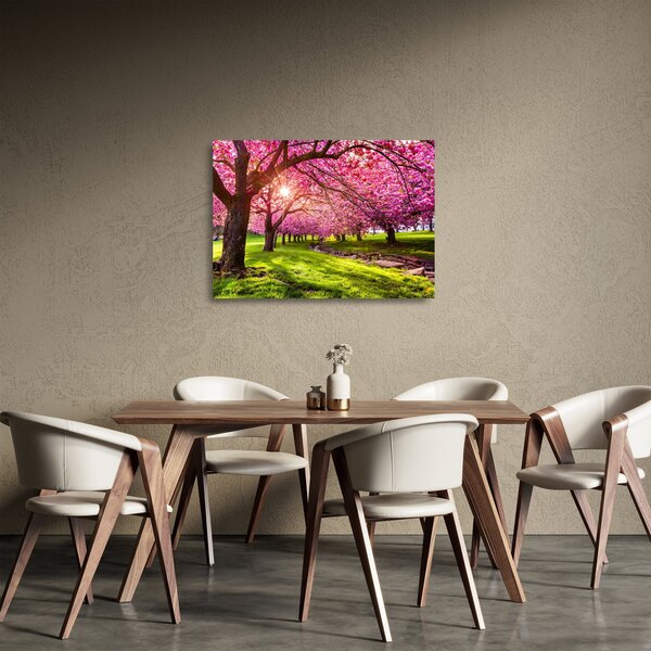 Skleněný obraz rozkvetlých třešní, Hurd Park, Dover, New Jersey (70x50 cm)