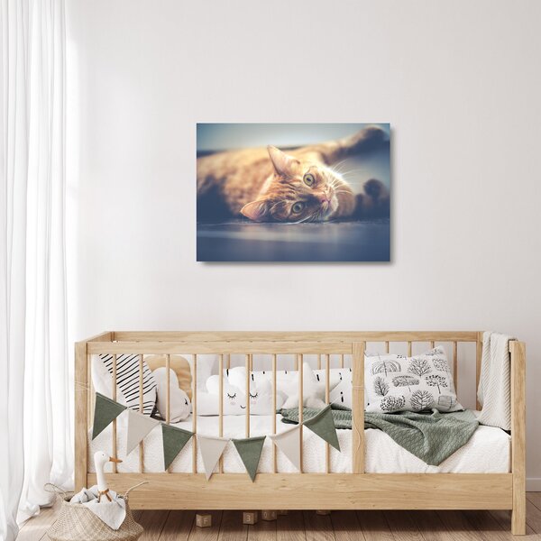 Skleněný obraz kočky na podlaze (70x50 cm)