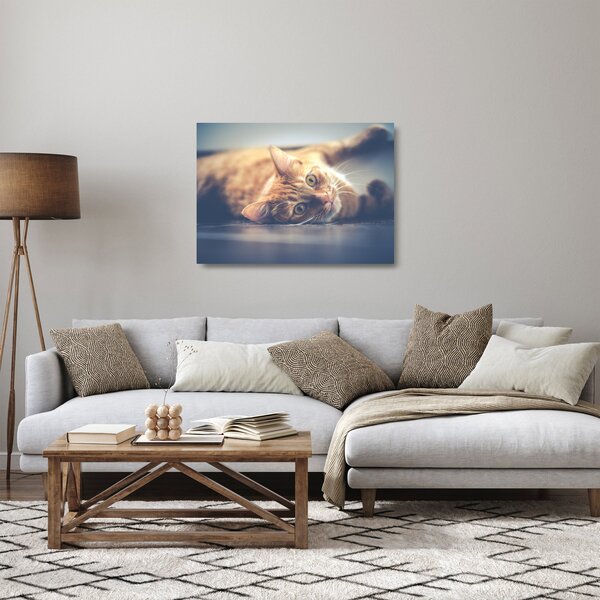 Skleněný obraz kočky na podlaze (70x50 cm)
