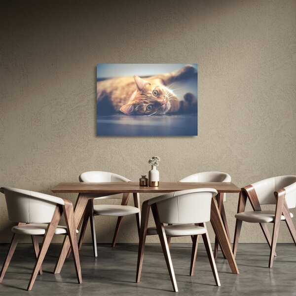Skleněný obraz kočky na podlaze (70x50 cm)