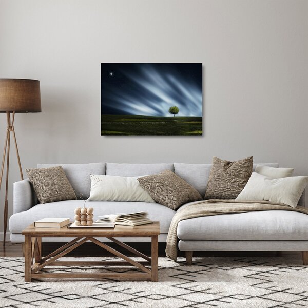 Skleněný obraz polární záře nad vřesovištěm (70x50 cm)