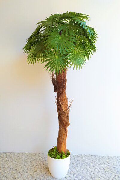 Umělá washingtonská palma 120cm
