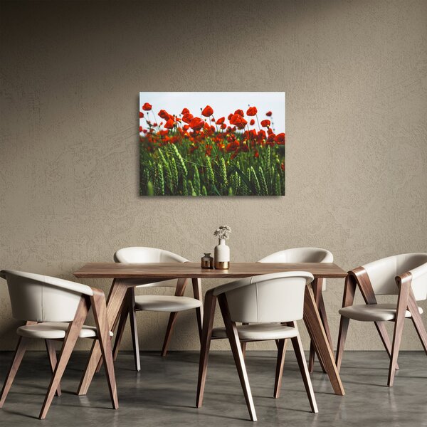 Skleněný obraz vlčích máků ve větru (70x50 cm)