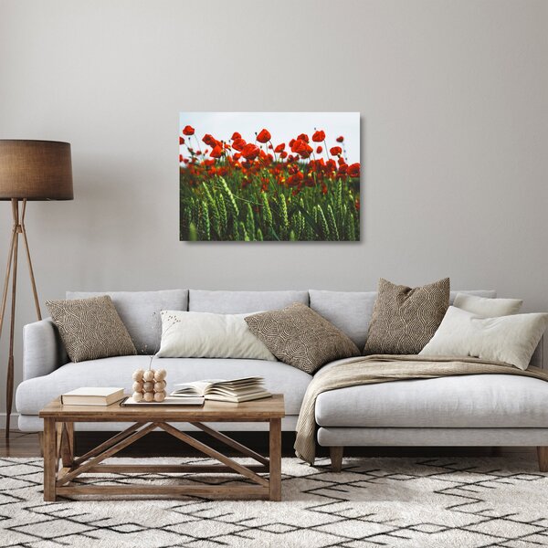 Skleněný obraz vlčích máků ve větru (70x50 cm)