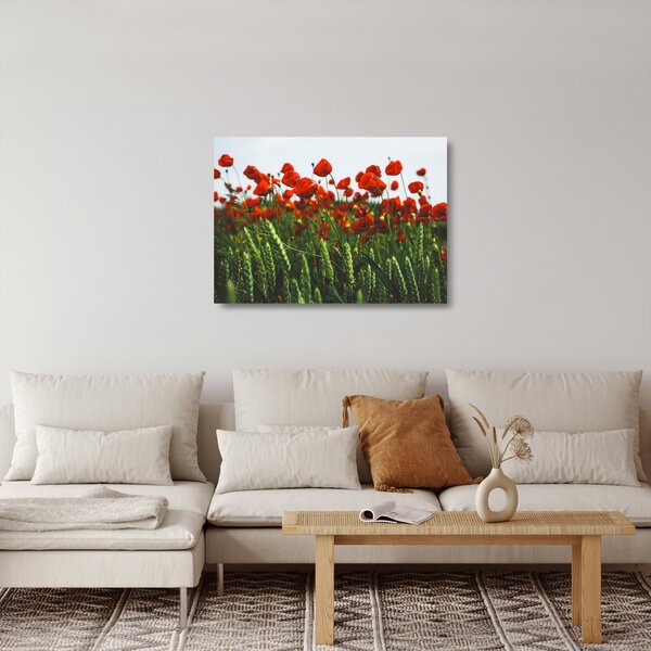 Skleněný obraz vlčích máků ve větru (70x50 cm)