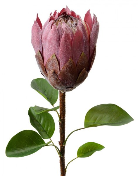 Umělá rostlina fialovo-růžová protea – 65 cm
