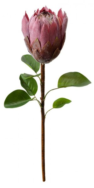 Umělá rostlina fialovo-růžová protea – 65 cm