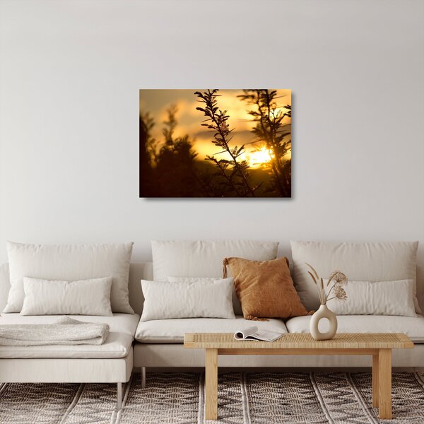 Skleněný obraz - Slunce zapadající za stromy (70x50 cm)