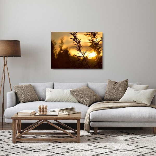 Skleněný obraz - Slunce zapadající za stromy (70x50 cm)