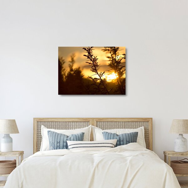 Skleněný obraz - Slunce zapadající za stromy (70x50 cm)