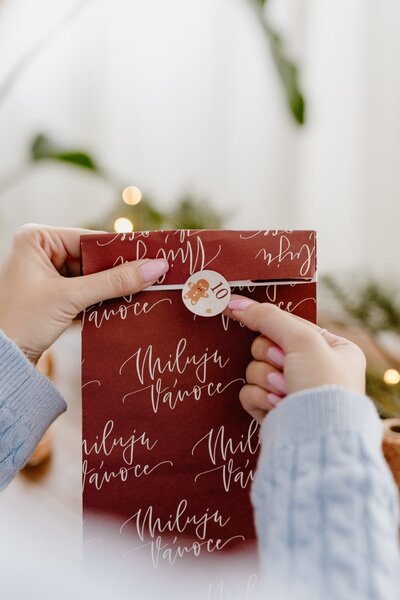 Samolepky na adventní kalendář Vánoční myšky