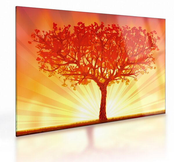 Skleněný obraz - Strom v záři slunce (70x50 cm)