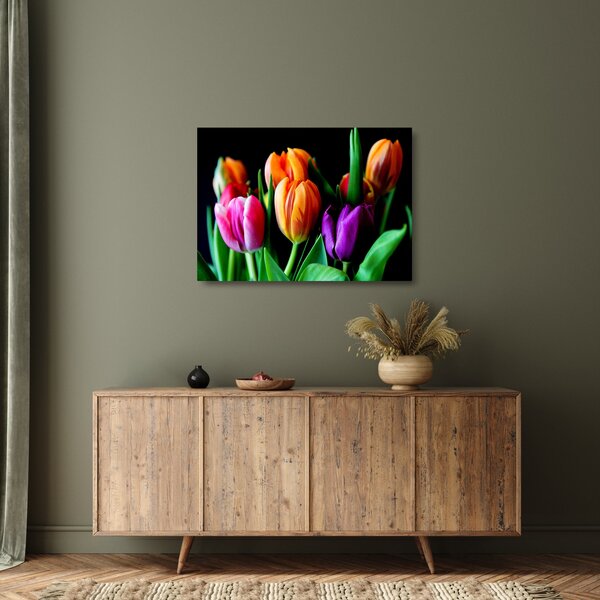 Skleněný obraz tulipánů na černém pozadí (70x50 cm)