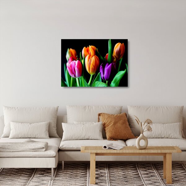 Skleněný obraz tulipánů na černém pozadí (70x50 cm)