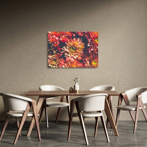 Skleněný obraz - Chryzantémy (70x50 cm)