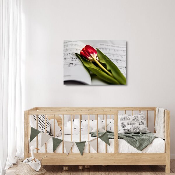 Skleněný obraz červeného tulipánu (70x50 cm)