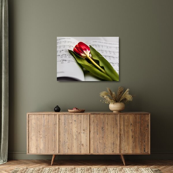 Skleněný obraz červeného tulipánu (70x50 cm)
