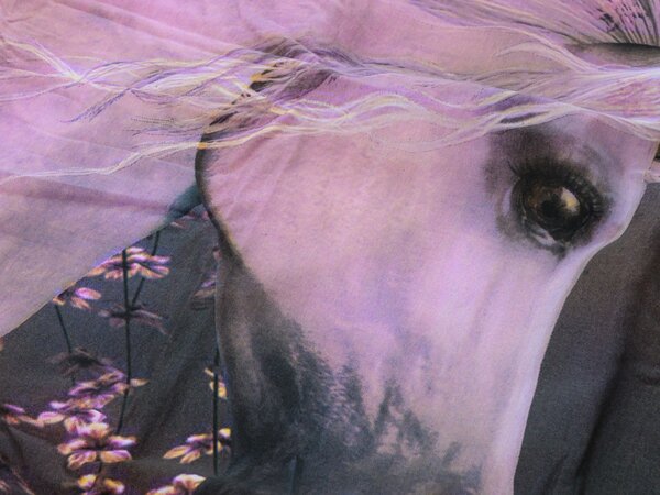 Dětské povlečení MAGIC HORSE barevné Rozměr povlečení: 50 x 75 cm | 140 x 200 cm