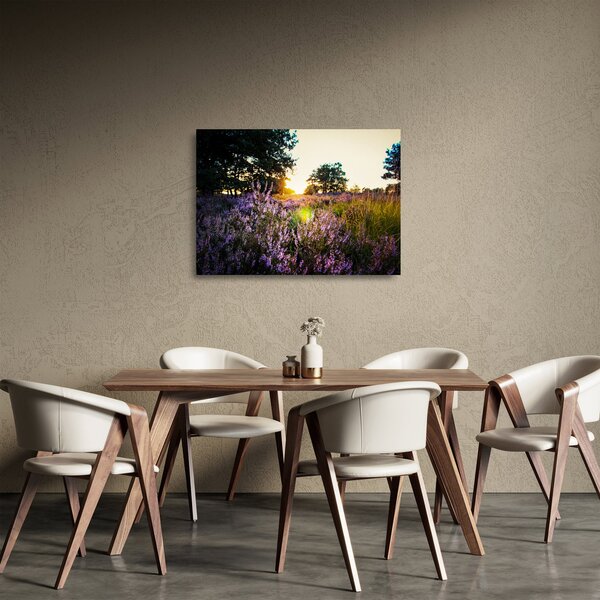 Skleněný obraz pole levandulí (70x50 cm)