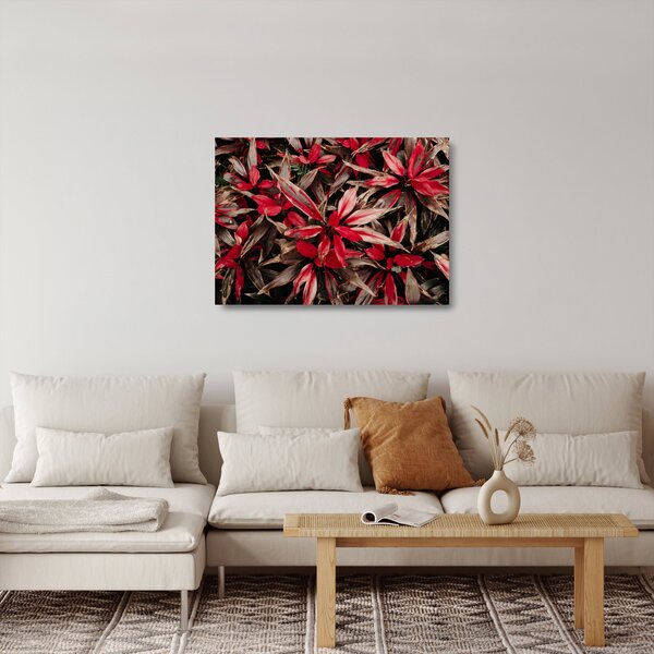 Skleněný obraz červených okvětních lístků (70x50 cm)