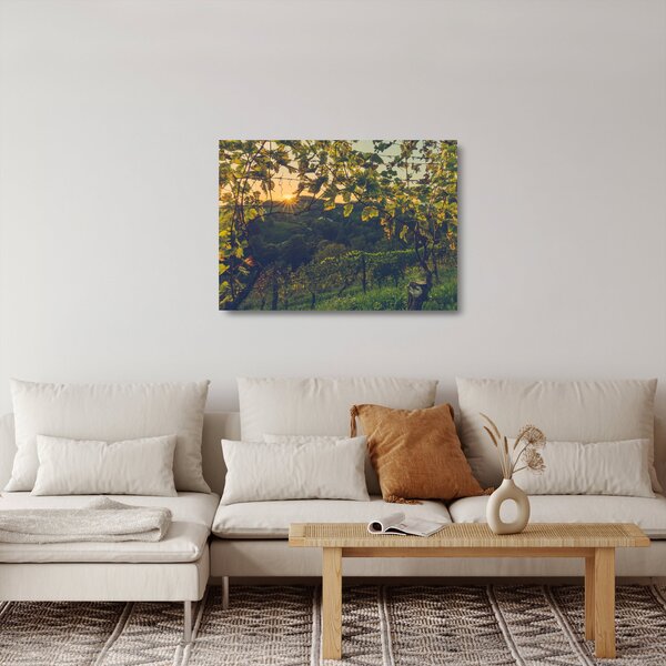 Skleněný obraz - Vinice (70x50 cm)