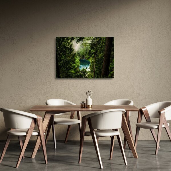 Skleněný obraz - Průzor mezi stromy (70x50 cm)