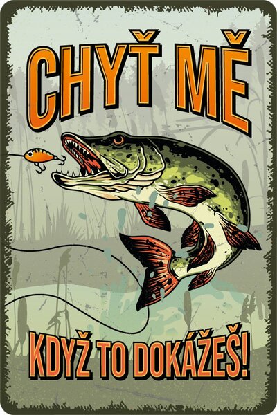 Postershop Plechová cedule: Chyť mě když to dokážeš - 20x30 cm