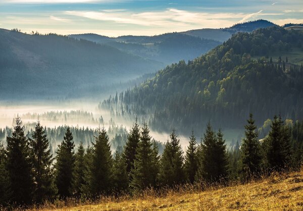 Postershop Fototapeta vliesová: Lesní příroda horská krajina - 104x70,5cm