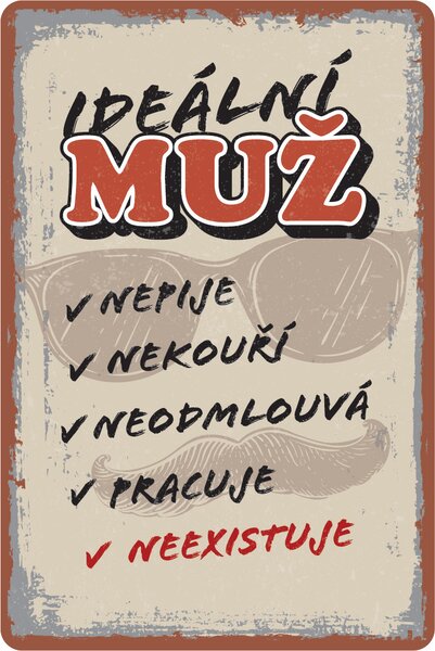 Postershop Plechová cedule: Ideální muž - 20x30 cm