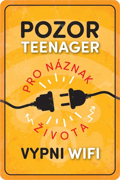 Postershop Plechová cedule: Pozor teenager - 20x30 cm