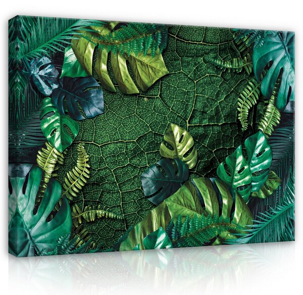 Postershop Obraz na plátně: Nature Leaves Dark Green Monsteras - 80x60 cm