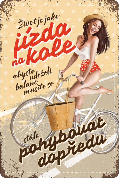 Postershop Plechová cedule: Život je jak jízda na kole - 20x30 cm