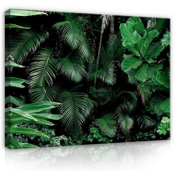 Postershop Obraz na plátně: Nature Forest Rainforest Leaves - 80x60 cm