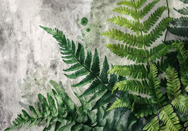 Postershop Fototapeta vliesová: Fern Leaves Structure - 208x146 cm