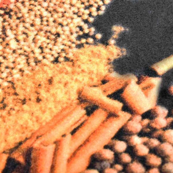 Kuchyňská rohožka pratelná Spice 45 x 150 cm 323475