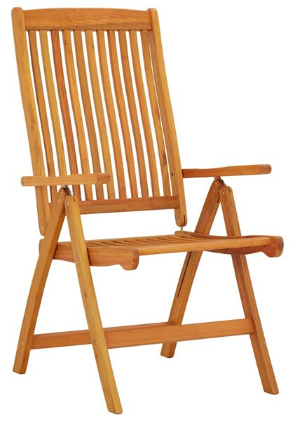 Skládací židle 2 ks, masivní dřevo, eukalyptus 316069